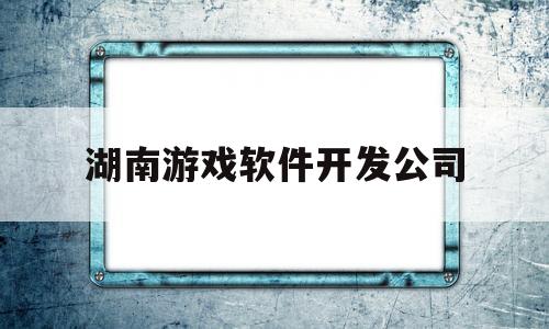 湖南游戏软件开发公司(湖南游戏软件开发公司排名)