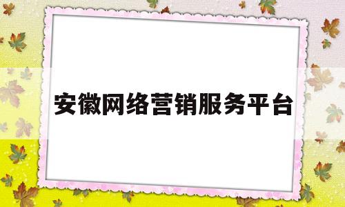 安徽网络营销服务平台(安徽省网络营销技能大赛)