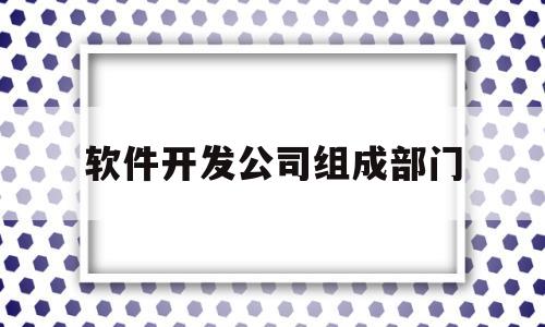 软件开发公司组成部门(软件开发公司组成部门有哪些)