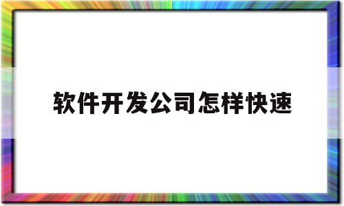 软件开发公司怎样快速(软件开发公司怎么开展业务)