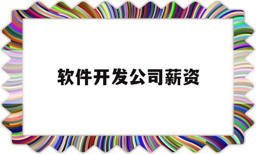 软件开发公司薪资(软件开发公司薪酬制度)