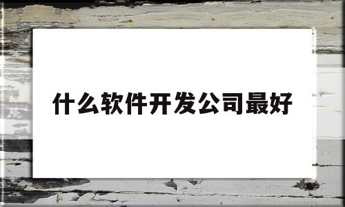 什么软件开发公司最好(什么软件开发公司最好用)