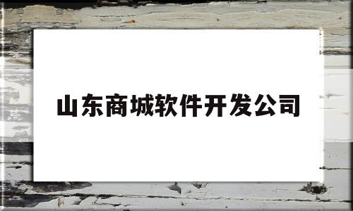 山东商城软件开发公司(山东商城软件开发公司怎么样)