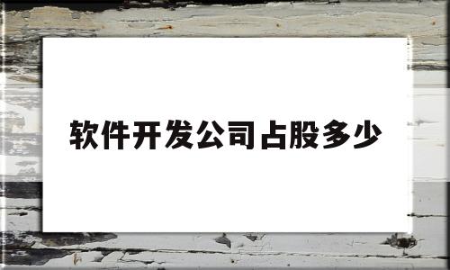 软件开发公司占股多少(软件开发公司占股多少比例)