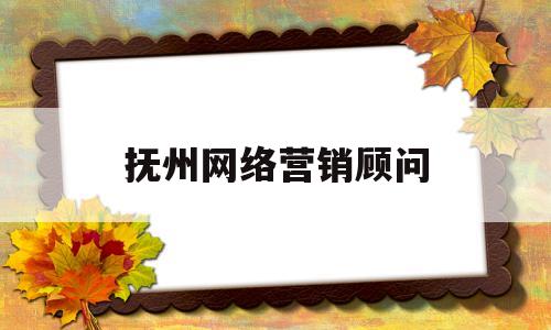 抚州网络营销顾问(抚州网络营销顾问招聘信息)