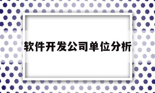 软件开发公司单位分析(软件公司开发部门岗位说明书)