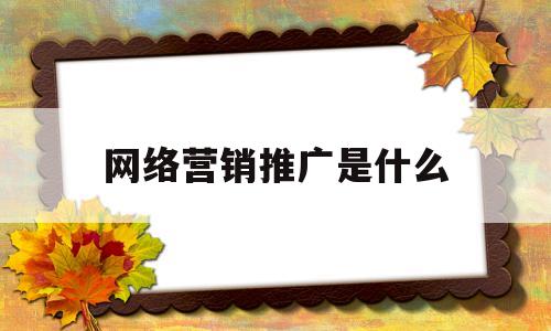 网络营销推广是什么(网络营销推广是什么意思)