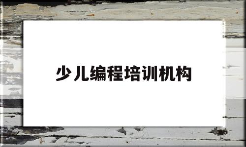 少儿编程培训机构(上海少儿编程培训机构)