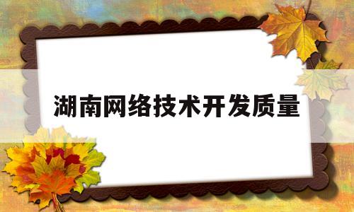 湖南网络技术开发质量(湖南省网络科技有限公司)