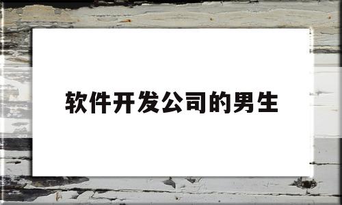 软件开发公司的男生(做软件开发的是什么公司)