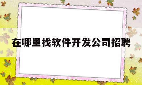 在哪里找软件开发公司招聘(软件开发人员招聘哪家网站好)