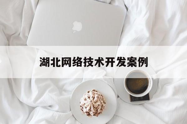 湖北网络技术开发案例(湖北网络技术开发案例分析)