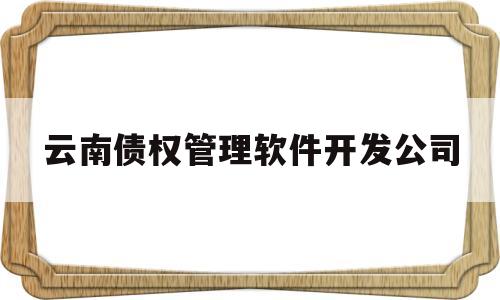 云南债权管理软件开发公司(云南债权管理软件开发公司怎么样)