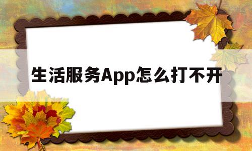 生活服务App怎么打不开(生活服务app怎么打不开了)