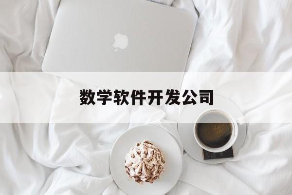 数学软件开发公司(数学软件编程是什么)