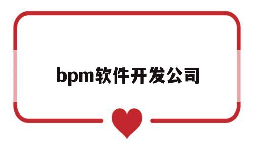 bpm软件开发公司的简单介绍