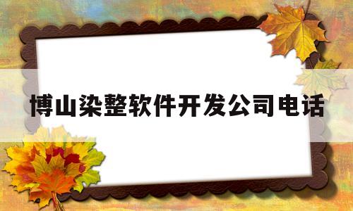 博山染整软件开发公司电话的简单介绍