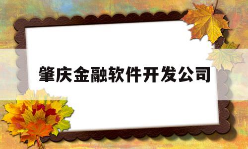 肇庆金融软件开发公司(肇庆金融软件开发公司有哪些)