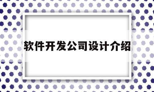 软件开发公司设计介绍(软件开发公司设计介绍怎么写)