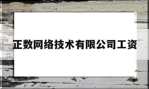 正数网络技术有限公司工资(正数网络技术有限公司待遇怎么样)