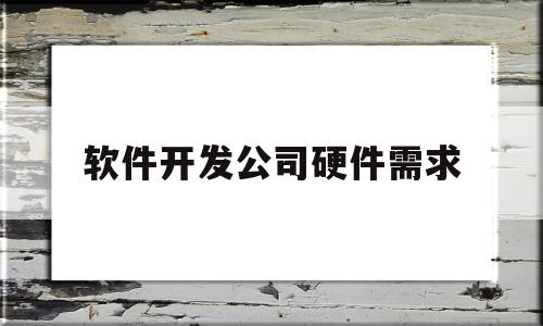 软件开发公司硬件需求(软件开发公司硬件需求分析)