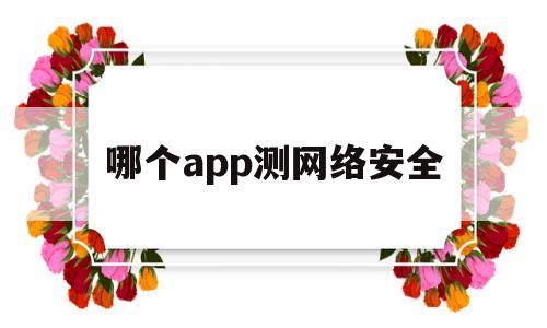 哪个app测网络安全(哪个app测网络安全性最好)