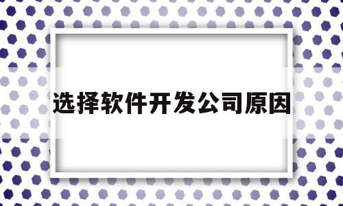 选择软件开发公司原因(软件开发公司需要的人员有哪些)