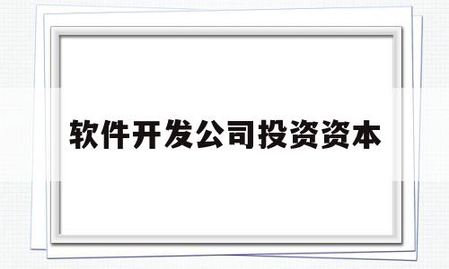 软件开发公司投资资本(投资一个软件开发公司需要多少资金)