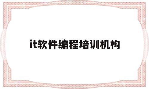 it软件编程培训机构(IT软件编程培训机构老师需要销售吗?)