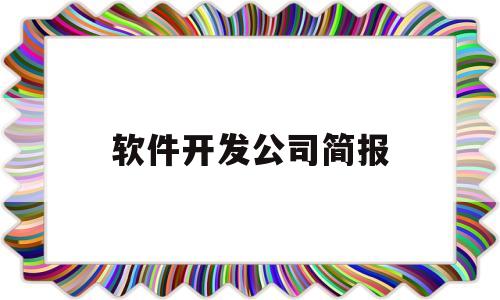 软件开发公司简报(软件开发公司简报怎么写)