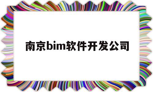 南京bim软件开发公司(南京bim软件开发公司排名)