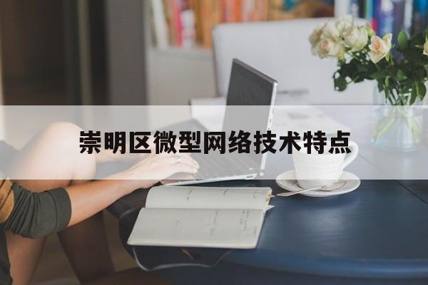 关于崇明区微型网络技术特点的信息