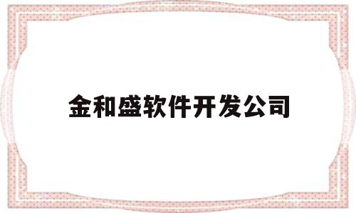 金和盛软件开发公司(金和软件股份有限公司)