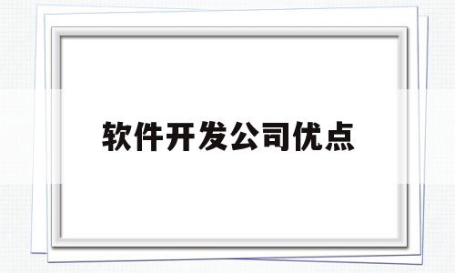 软件开发公司优点(软件开发公司的劣势)