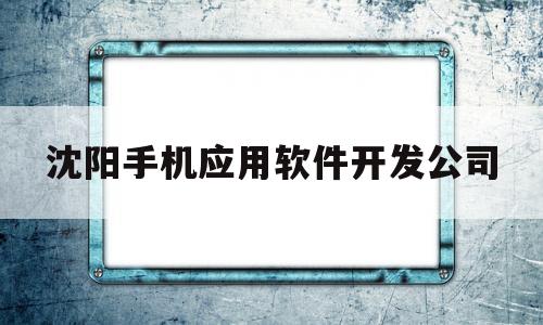 沈阳手机应用软件开发公司(沈阳app开发软件有限公司)