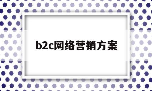 b2c网络营销方案(b2c网站的营销策略)