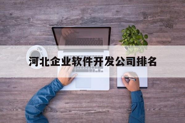 河北企业软件开发公司排名(河北企业软件开发公司排名榜)