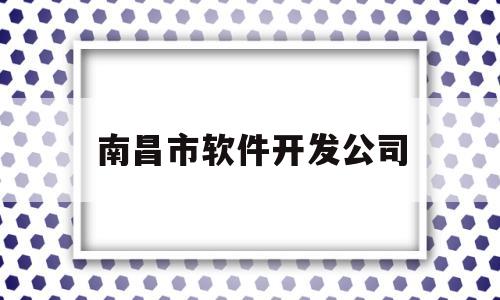 南昌市软件开发公司(江西南昌软件公司排名)