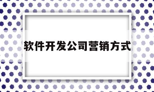 软件开发公司营销方式(软件开发公司营销方式有哪几种)