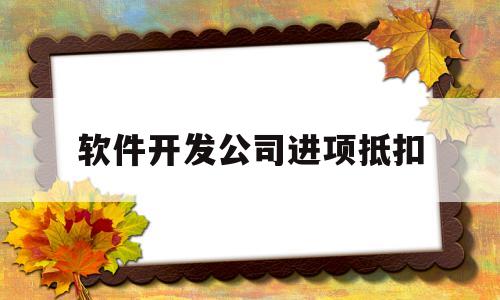 软件开发公司进项抵扣(软件开发公司进项抵扣怎么做账)