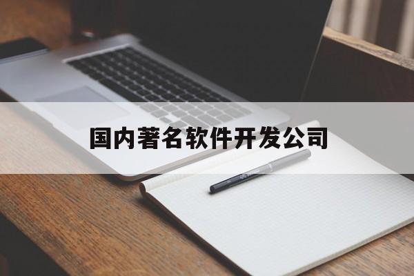 国内著名软件开发公司(国内著名软件开发公司有哪些)