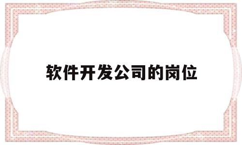 软件开发公司的岗位(软件开发公司岗位职责怎么写)