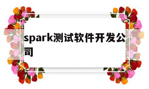 spark测试软件开发公司(spark测试原理)