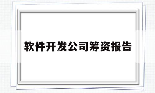 软件开发公司筹资报告(软件企业筹措资金的原则)