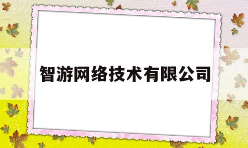 智游网络技术有限公司(智游集团是干嘛的)