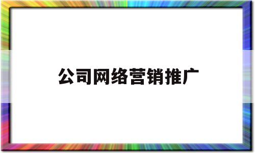 公司网络营销推广(公司网络营销推广方案实施过程以及效果)