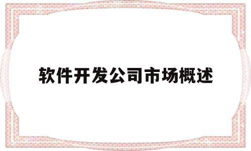 软件开发公司市场概述(软件开发公司规模)