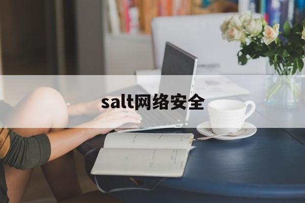 salt网络安全(网络安全i)