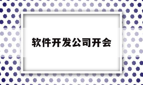 软件开发公司开会(软件开发会议记录范文模板)