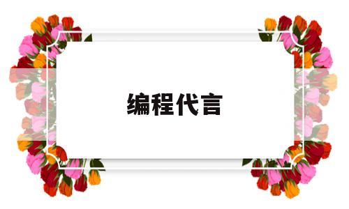 编程代言(编程代理哪个品牌好)